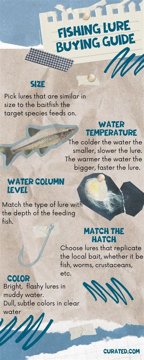Fishing Bait 101: What to Use and How to Choose It.